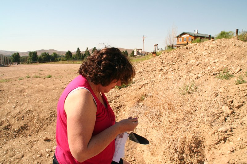 Trip (200).JPG - A stop along the way at "Dirty Annies" in Shell, Wyoming gave Sharon a chance to do a little archaeology and try to find some fossils.